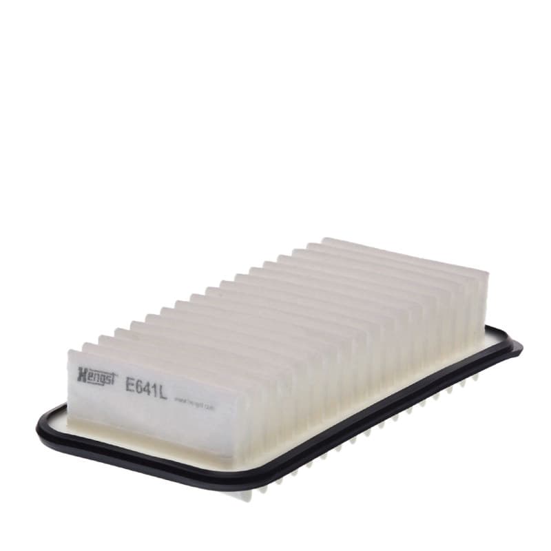 HENGSTFILTER Oro filtras E641L
