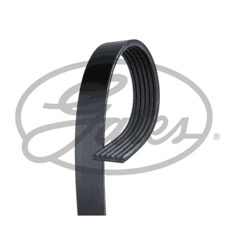 GATES V formos rumbuoti diržai 6PK1823XS