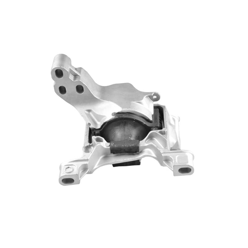 TEDGUM TED96317 variklio montavimas