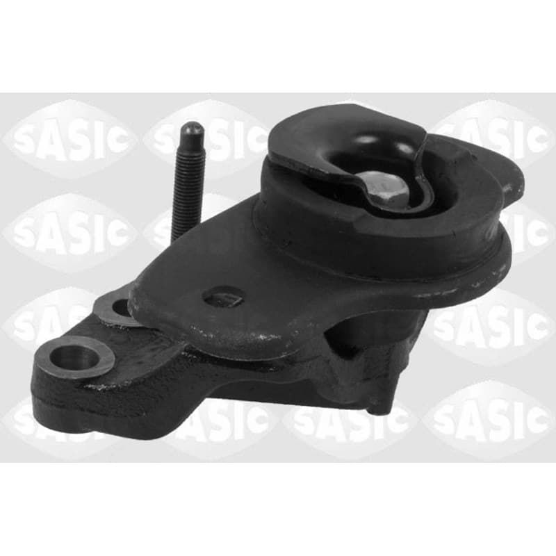 SASIC variklio montavimas 2700015