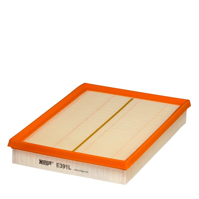 HENGSTFILTER Oro filtras E391L