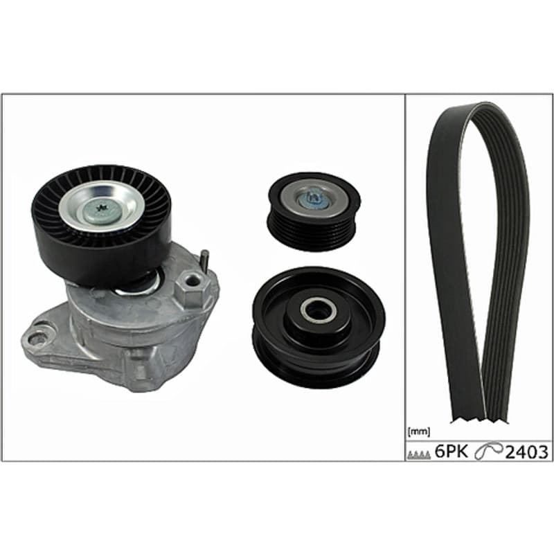 SCHAEFFLERINA V formos rumbuotas diržas, komplektas 529 0034 10