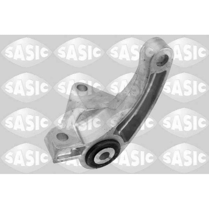 SASIC variklio montavimas 2706279