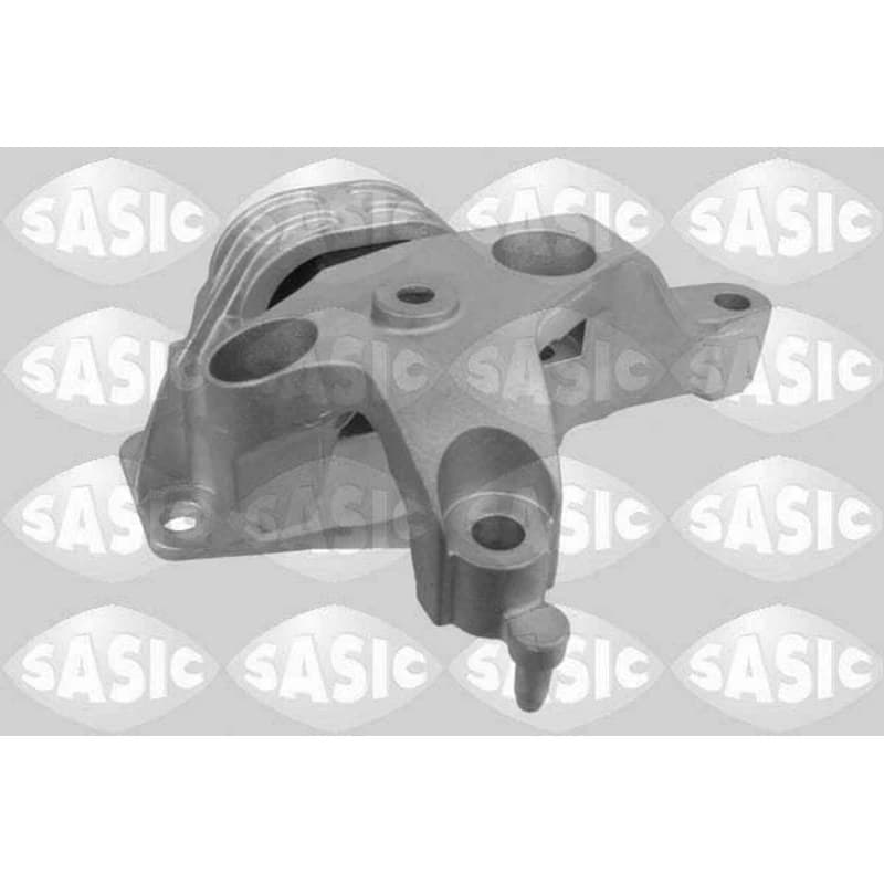 SASIC variklio montavimas 2704049