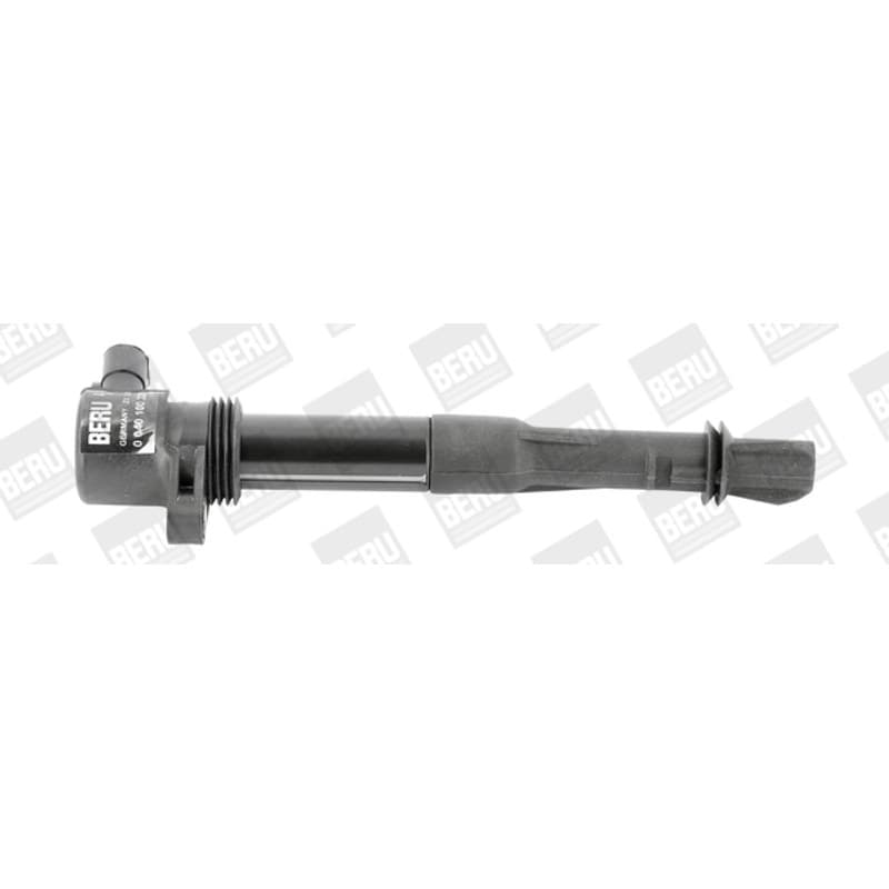 BORGWARNERBERU ritė, uždegimas ZS320