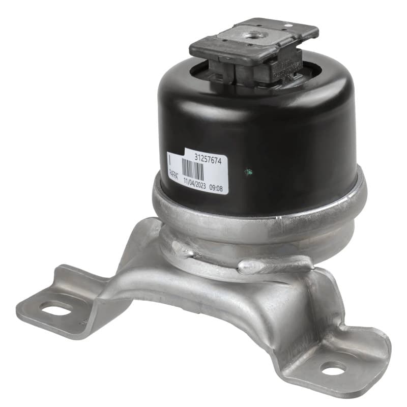LEMFRDER variklio montavimas 43612 01