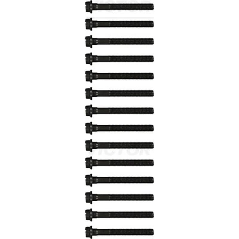 VICTORREINZ varžtų kompl., cil. galvutės varžtai 14-32028-01