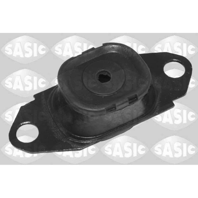 SASIC variklio montavimas 2706679