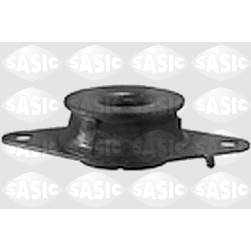 SASIC variklio montavimas 4001749