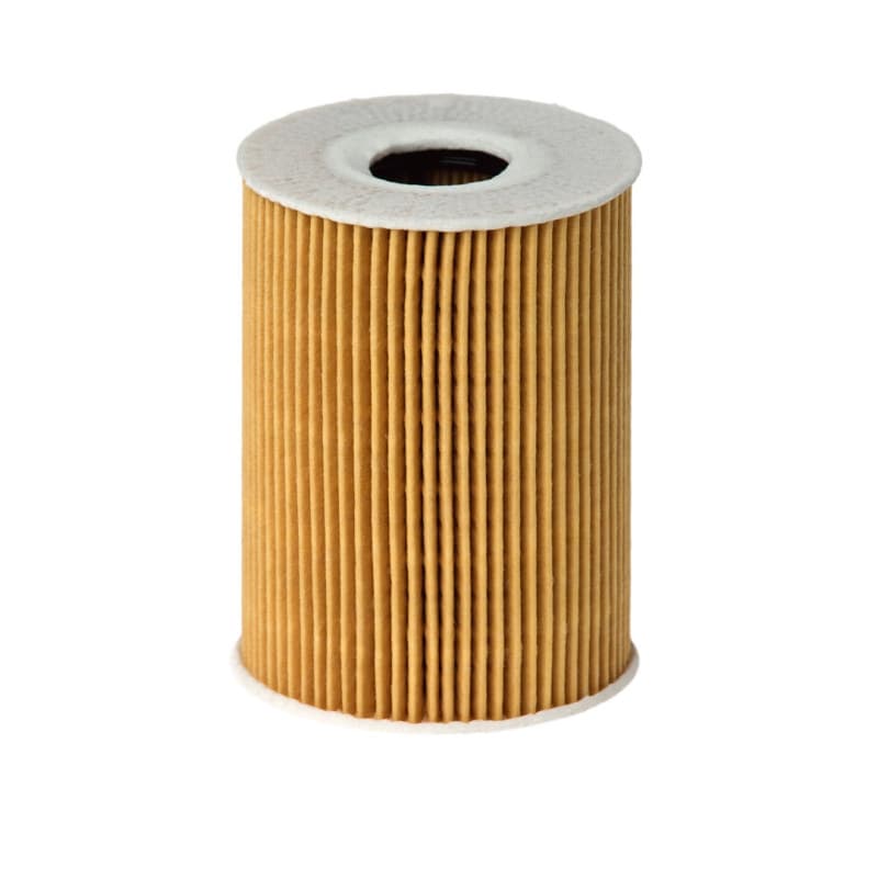 HENGSTFILTER alyvos filtras E113H D181