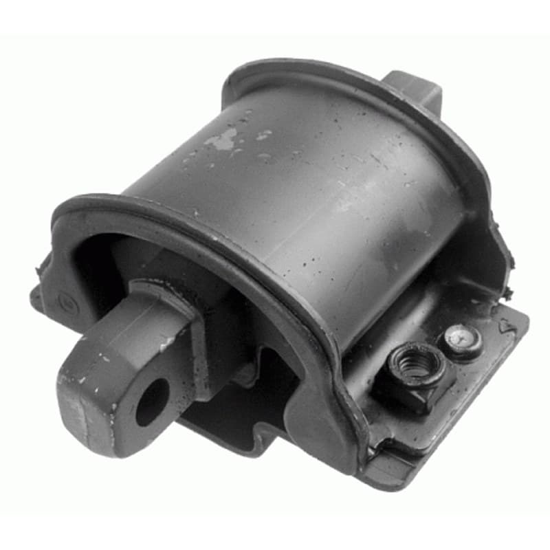 LEMFRDER variklio montavimas 12517 01