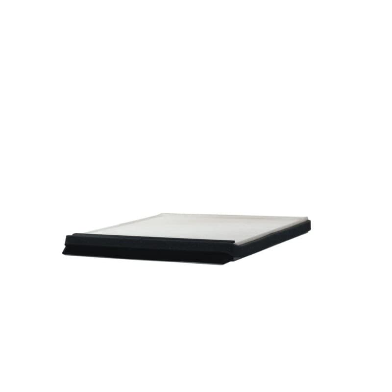 FILTRON Filtras, salono oras K 1007