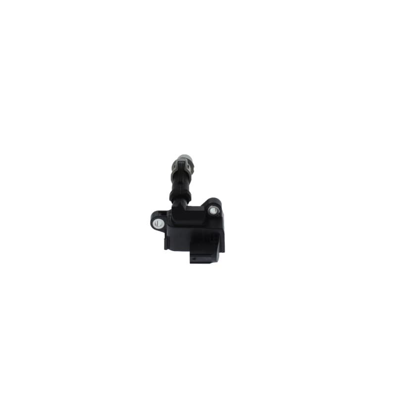 BOSCH 0 221 604 040 ritė, uždegimas