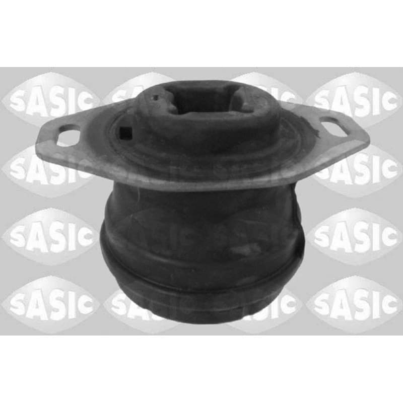 SASIC variklio montavimas 2700028