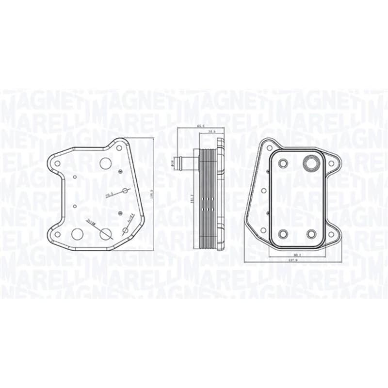 MAGNETIMARELLI alyvos aušintuvas, variklio alyva 350300001700