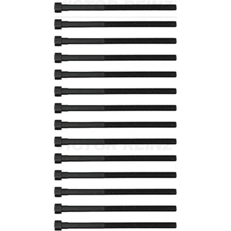 VICTORREINZ varžtų kompl., cil. galvutės varžtai 14-12261-03