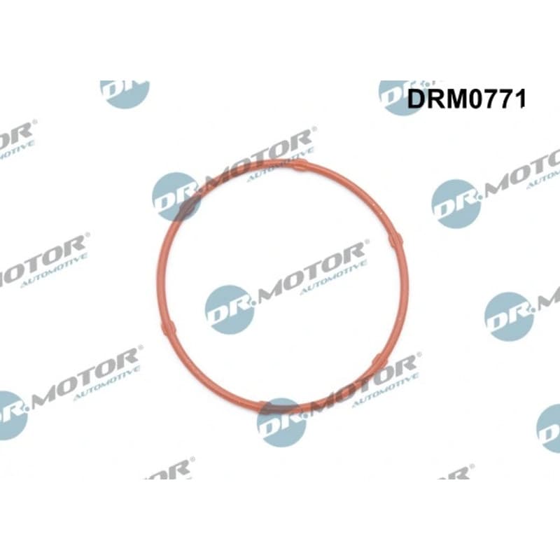 DRMOTORAUTOMOTIVE tarpiklis, alyvos siurblys DRM0771