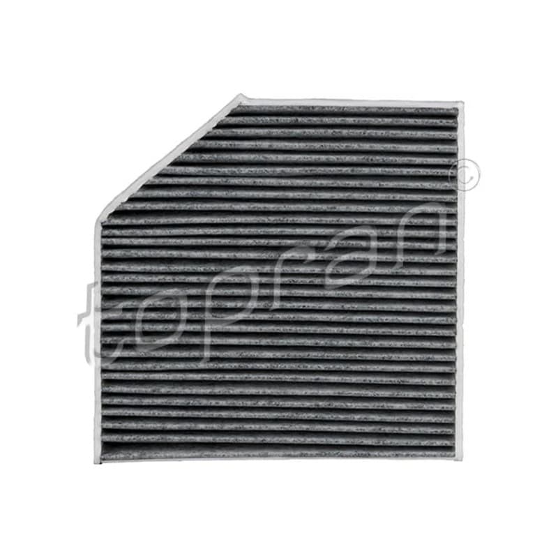TOPRAN 113 675 filtras, salono oras