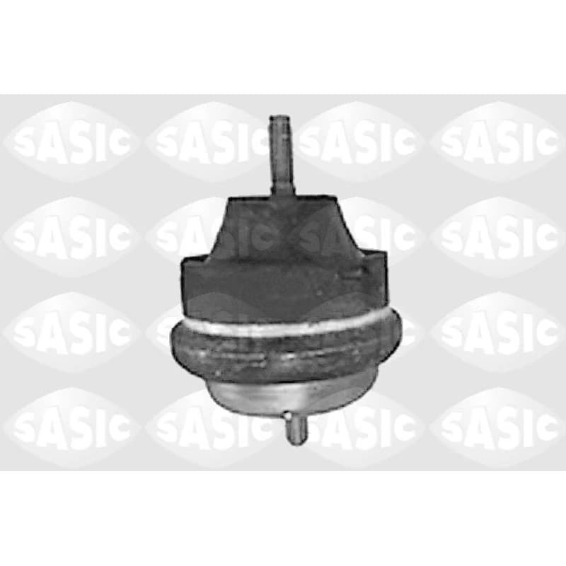 SASIC variklio montavimas 8441821