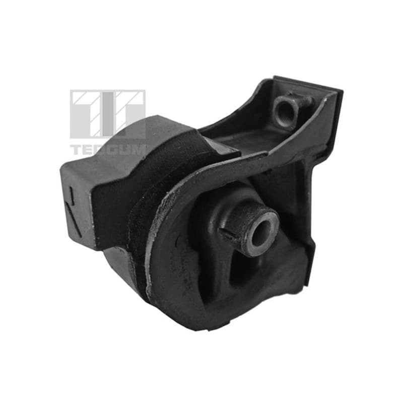 TEDGUM variklio montavimas 00677020