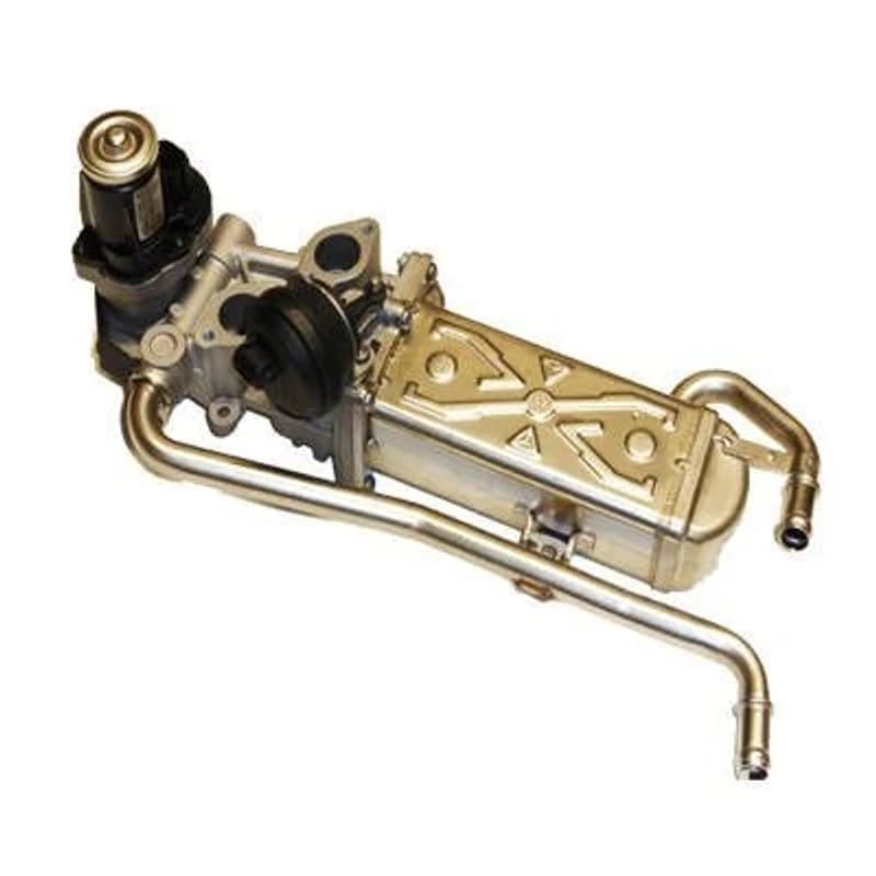 MAGNETIMARELLI ERG vožtuvas 571822112069