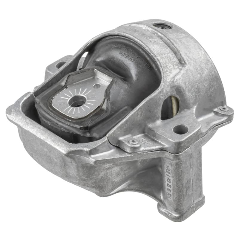 LEMFRDER variklio montavimas 34745 01