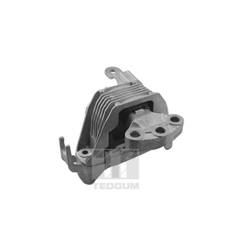 TEDGUM variklio montavimas TED86251