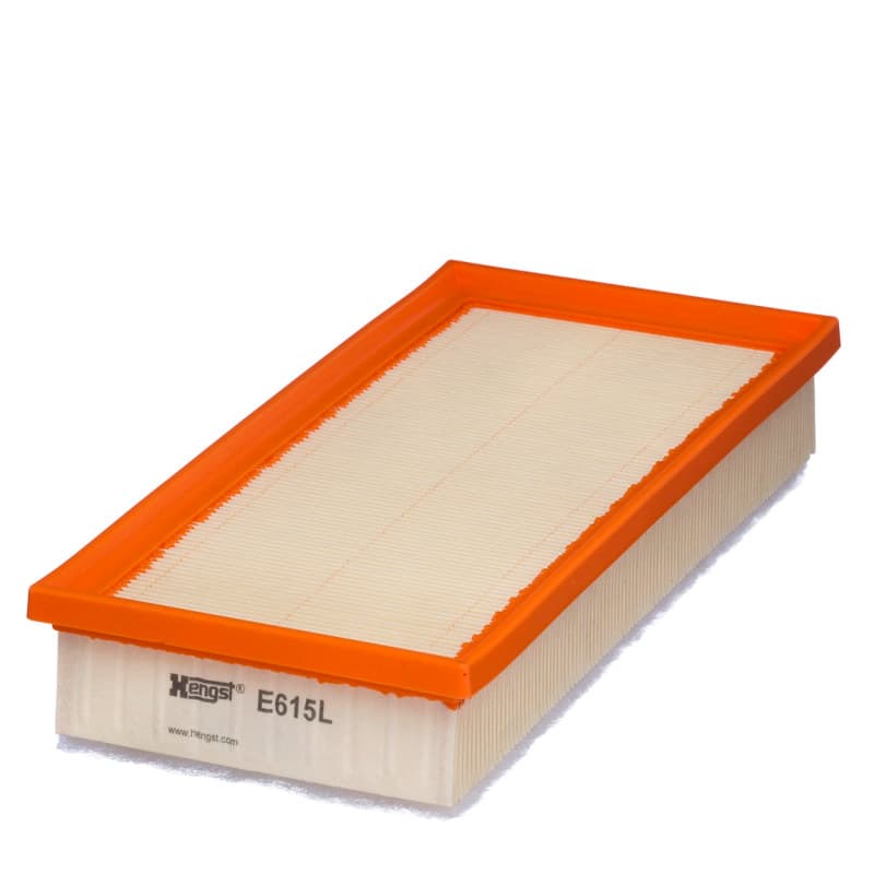 HENGSTFILTER Oro filtras E615L