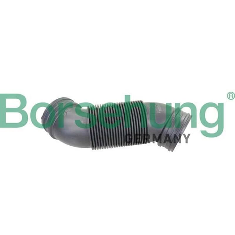 BORSEHUNG įleidimo vamzdelis B12323