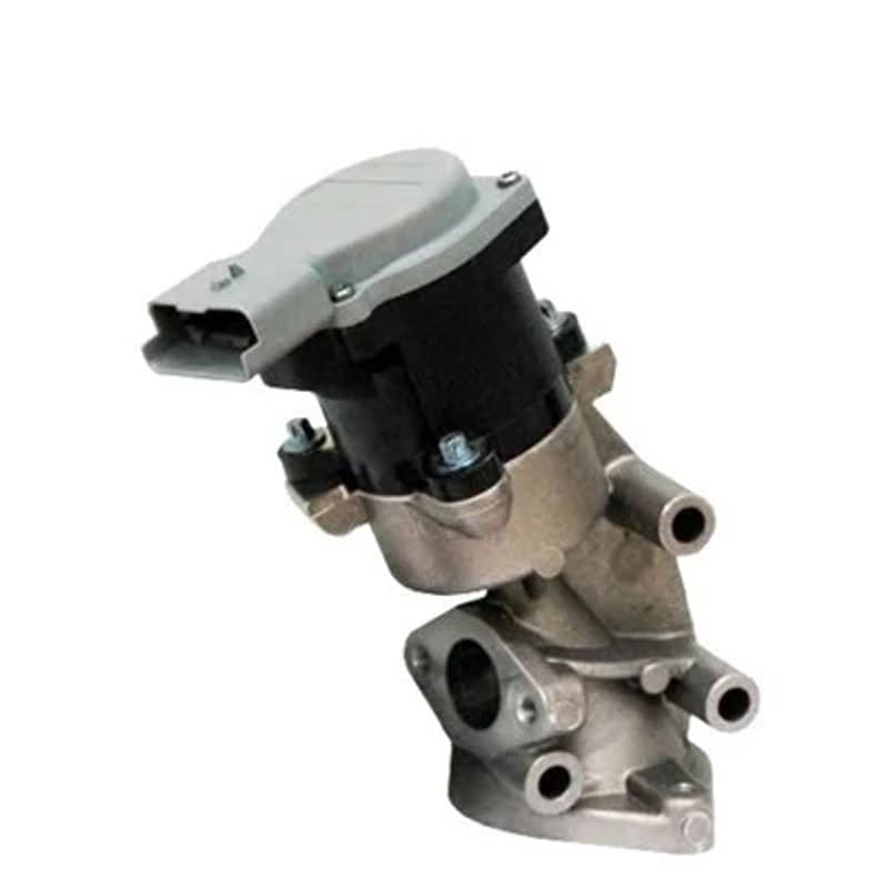 MAGNETIMARELLI ERG vožtuvas 571822112032