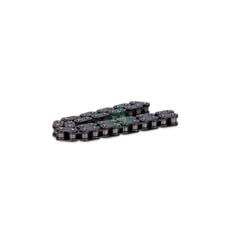 SCHAEFFLERINA grandinė, alyvos siurblio pavara 553 0125 10