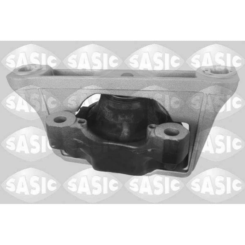 SASIC variklio montavimas 2706101