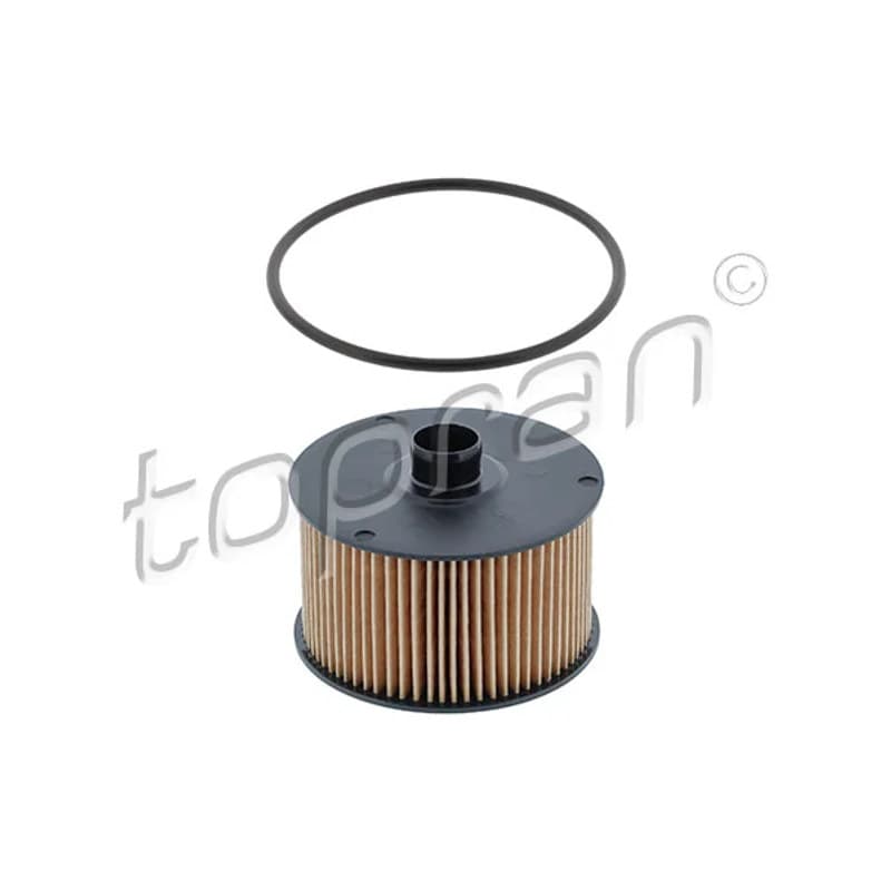 TOPRAN 701 062 alyvos filtras