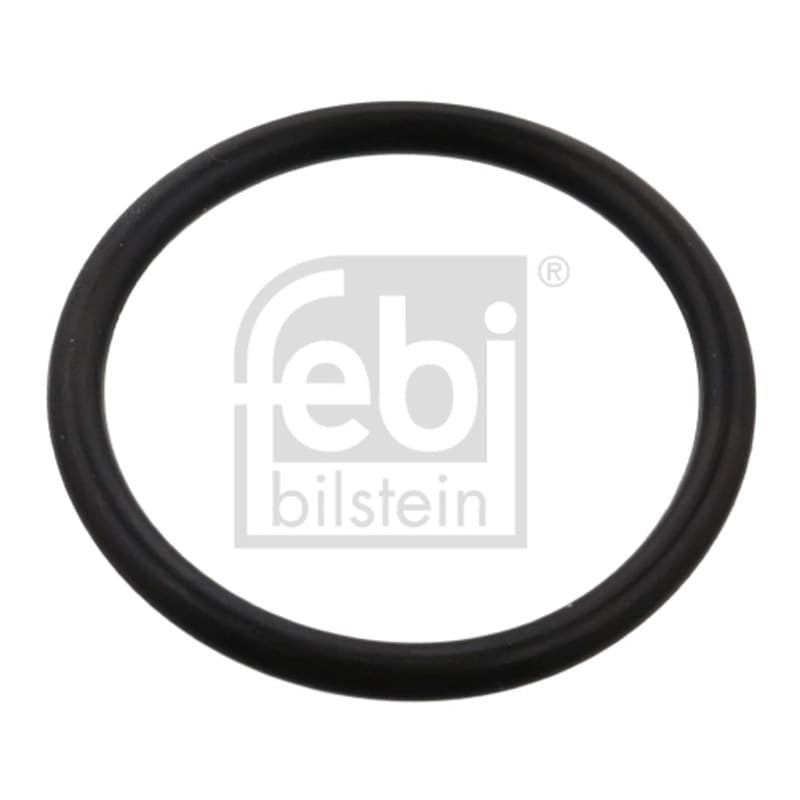 FEBIBILSTEIN aušinimo skysčio žarnos tarpiklis 102594