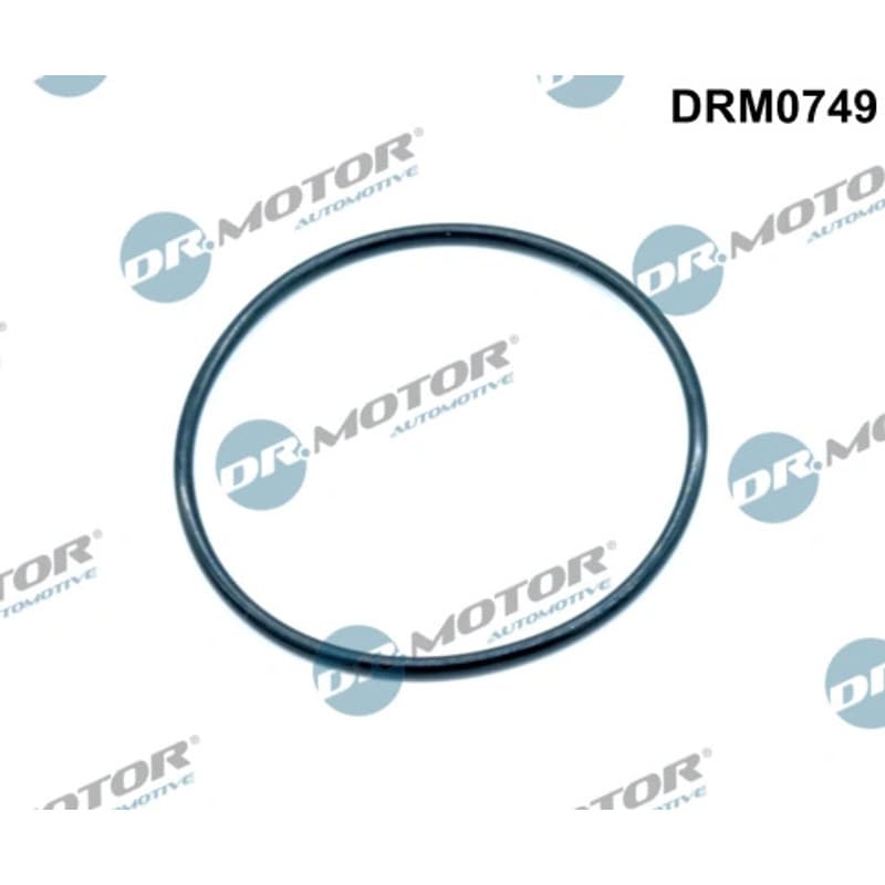 DRMOTORAUTOMOTIVE tarpiklis, EGR vožtuvas DRM0749