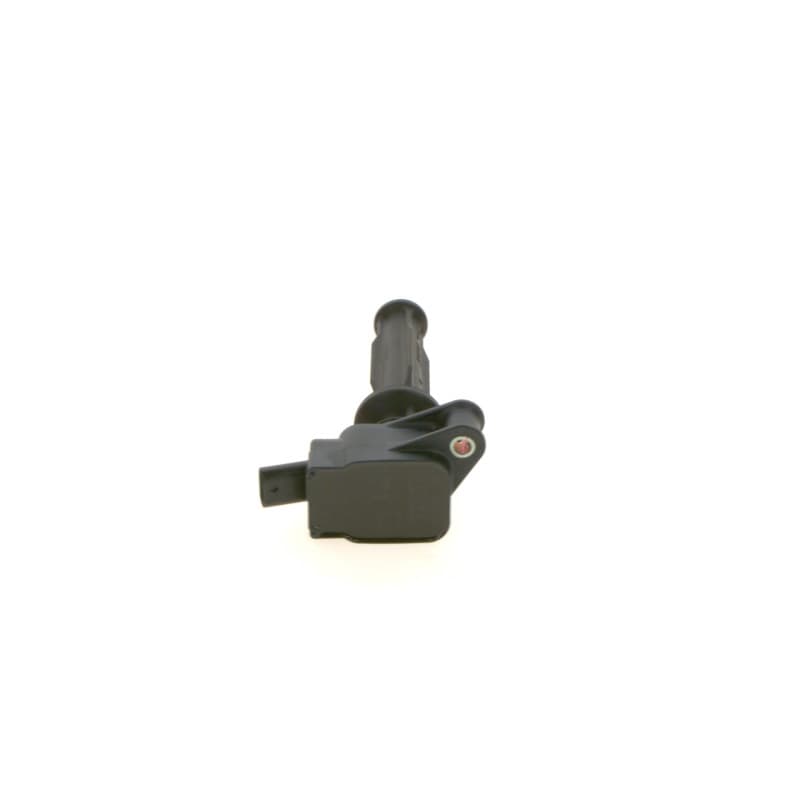 BOSCH 0 221 604 024 ritė, uždegimas