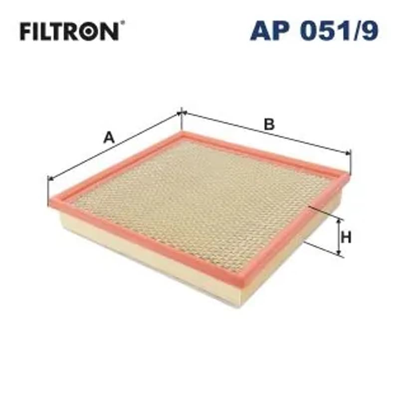 FILTRON AP 051/9 Oro filtras