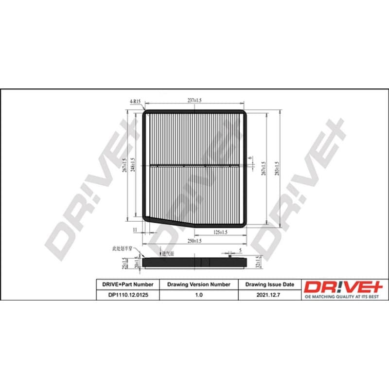 DRVE DP1110.12.0125 filtras, salono oras