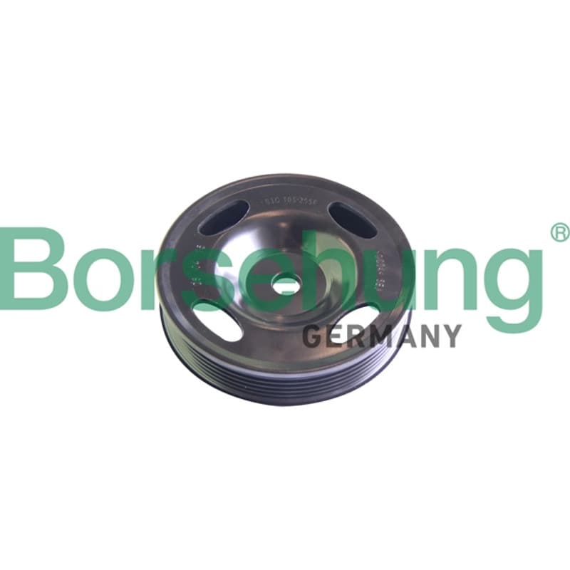 BORSEHUNG pavara, alkūninis velenas B12080