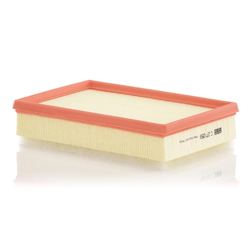 MANNFILTER oro filtras C 27 059