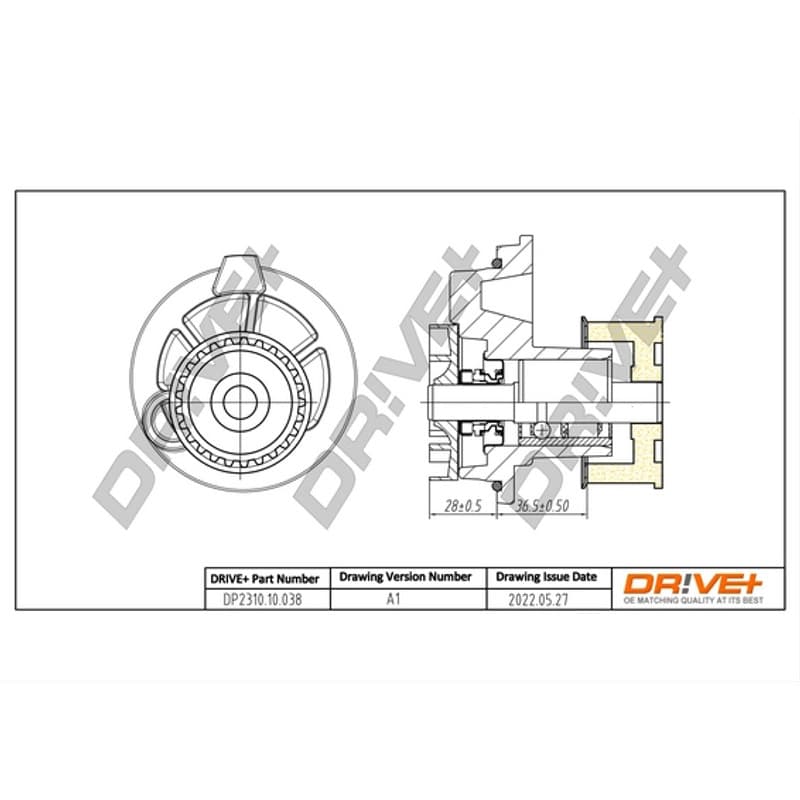 DRVE Vandens siurblys, variklio aušinimas DP2310.10.038
