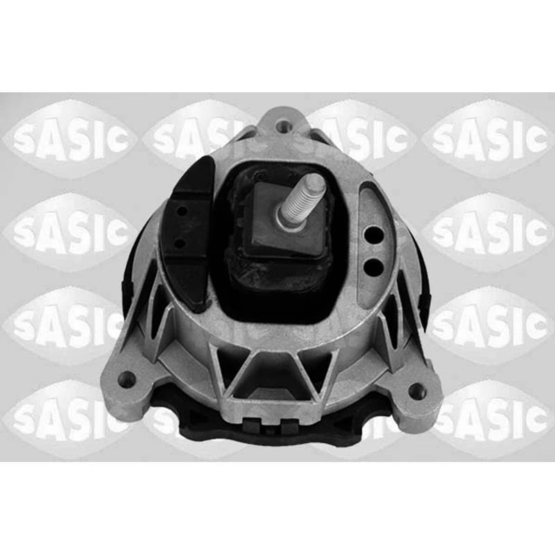 SASIC variklio montavimas 2706491