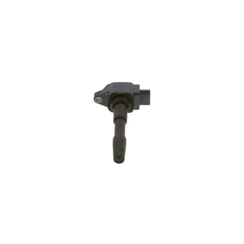 BOSCH 0 986 221 079 ritė, uždegimas