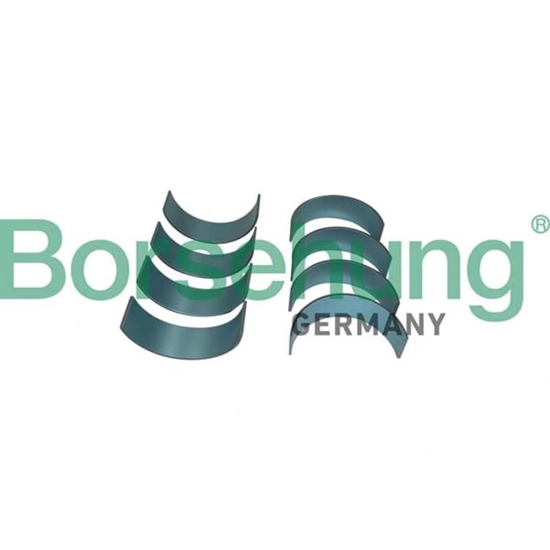 BORSEHUNG guoliai dideliu galu B11382