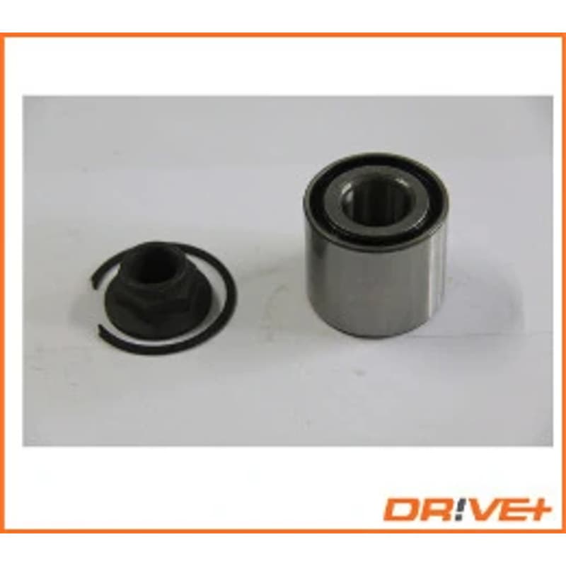 DRVE rato guolio komplektas DP2010.10.0524