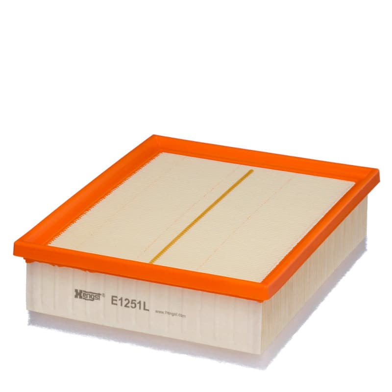 HENGSTFILTER oro filtras E1251L