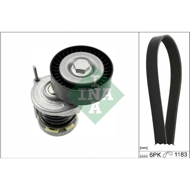 SCHAEFFLERINA V formos rumbuotas diržas, komplektas 529 0466 10