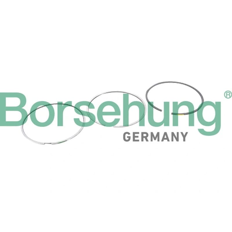 BORSEHUNG stūmoklio žiedų komplektas B10364