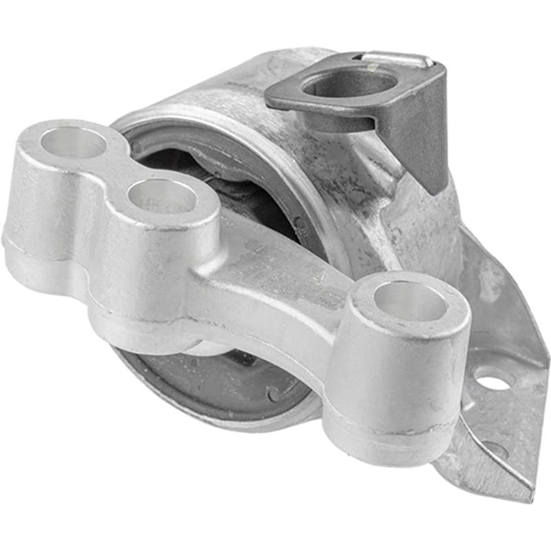 LEMFRDER variklio montavimas 37687 01