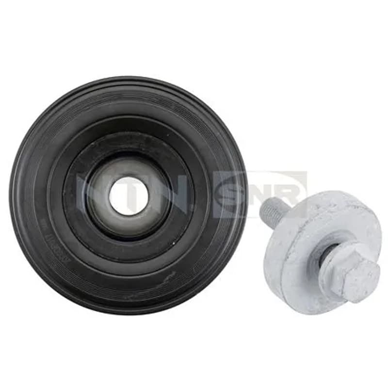 SNR skriemulys, alkūninis velenas DPF355.08K1